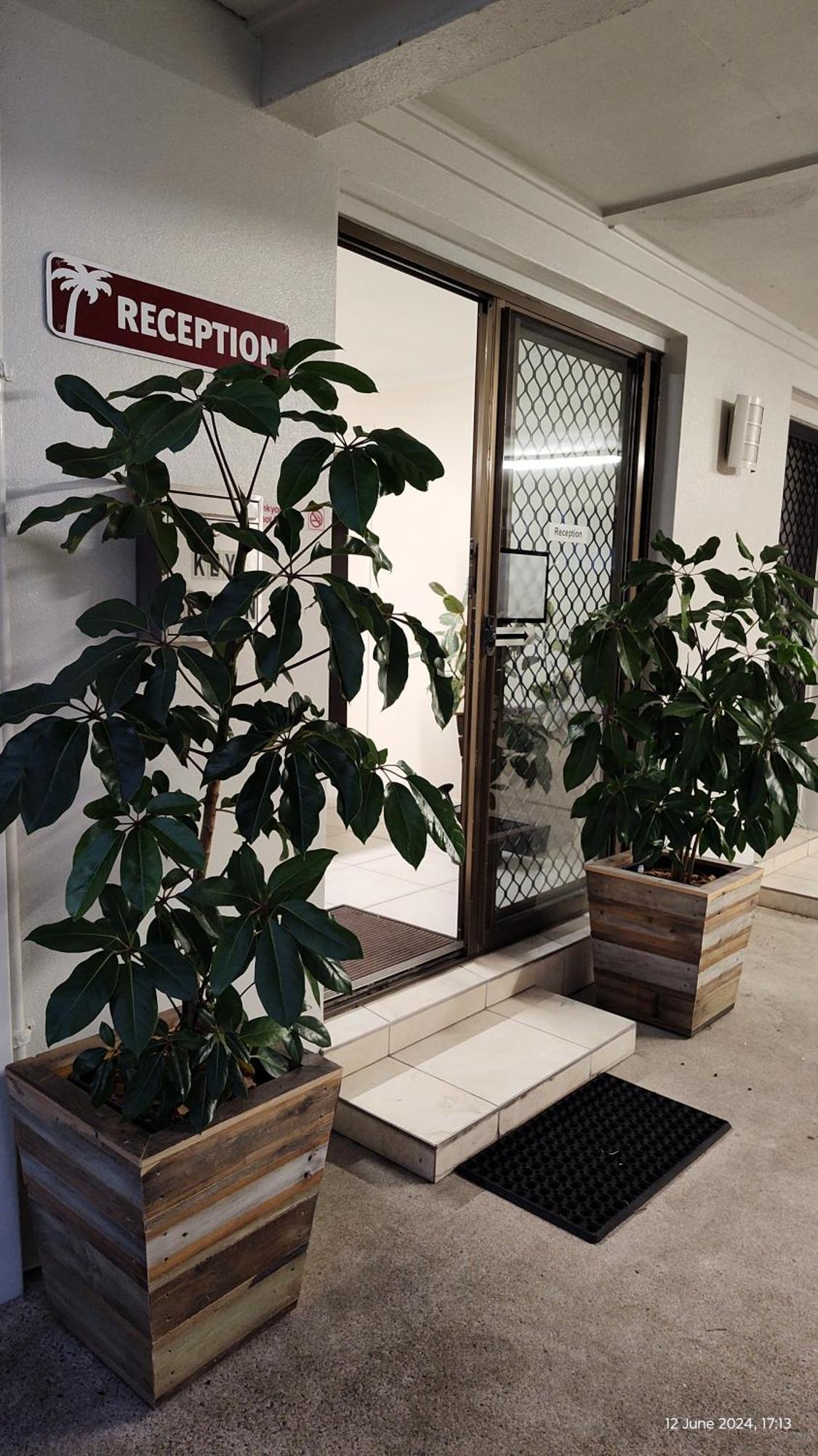 Pacific Palms Motor Inn Маркула Екстериор снимка